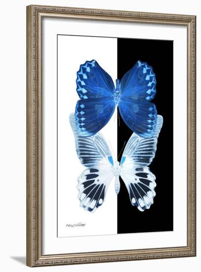 Miss Butterfly Duo Memhowqua II - X-Ray B&W Edition-Philippe Hugonnard-Framed Photographic Print