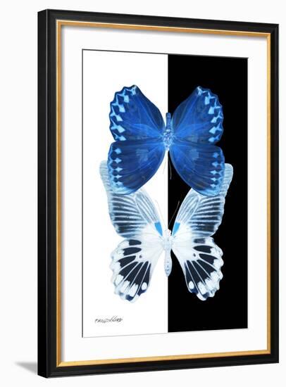 Miss Butterfly Duo Memhowqua II - X-Ray B&W Edition-Philippe Hugonnard-Framed Photographic Print