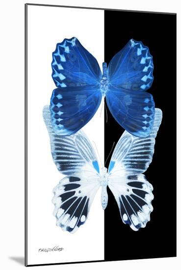 Miss Butterfly Duo Memhowqua II - X-Ray B&W Edition-Philippe Hugonnard-Mounted Photographic Print