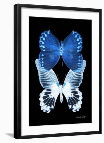 Miss Butterfly Duo Memhowqua II - X-Ray Black Edition-Philippe Hugonnard-Framed Photographic Print