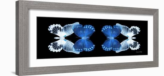 Miss Butterfly Duo Memhowqua Pan - X-Ray Black Edition-Philippe Hugonnard-Framed Photographic Print