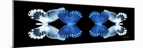 Miss Butterfly Duo Memhowqua Pan - X-Ray Black Edition-Philippe Hugonnard-Mounted Photographic Print