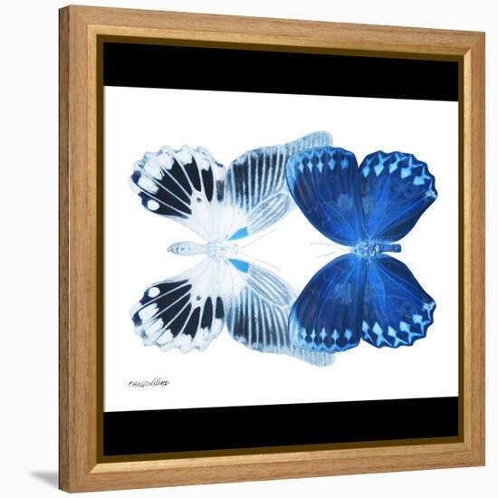 Miss Butterfly Duo Memhowqua Sq - X-Ray B&W Edition-Philippe Hugonnard-Framed Stretched Canvas