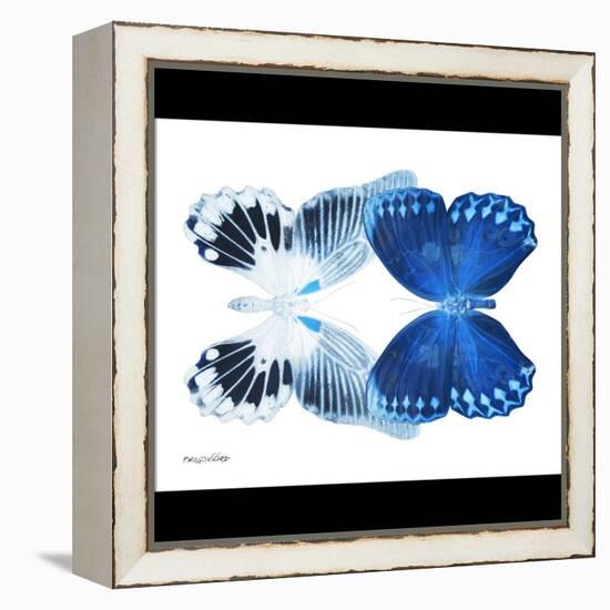 Miss Butterfly Duo Memhowqua Sq - X-Ray B&W Edition-Philippe Hugonnard-Framed Stretched Canvas