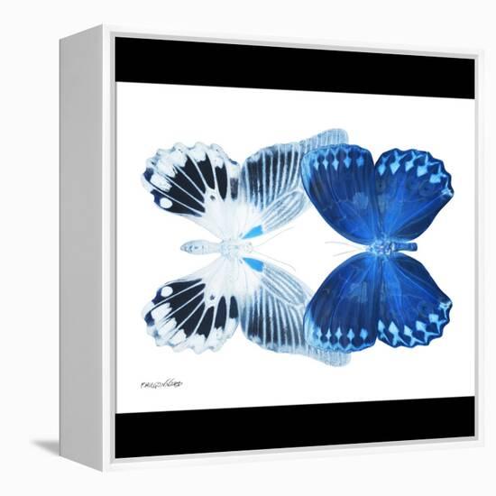 Miss Butterfly Duo Memhowqua Sq - X-Ray B&W Edition-Philippe Hugonnard-Framed Stretched Canvas