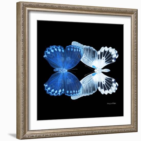 Miss Butterfly Duo Memhowqua Sq - X-Ray Black Edition-Philippe Hugonnard-Framed Photographic Print