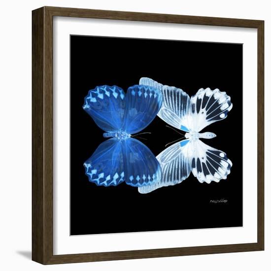 Miss Butterfly Duo Memhowqua Sq - X-Ray Black Edition-Philippe Hugonnard-Framed Photographic Print