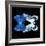 Miss Butterfly Duo Memhowqua Sq - X-Ray Black Edition-Philippe Hugonnard-Framed Photographic Print