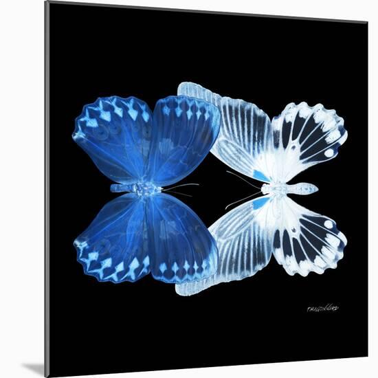 Miss Butterfly Duo Memhowqua Sq - X-Ray Black Edition-Philippe Hugonnard-Mounted Photographic Print