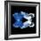 Miss Butterfly Duo Memhowqua Sq - X-Ray Black Edition-Philippe Hugonnard-Framed Photographic Print