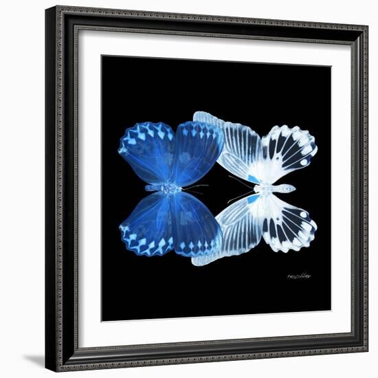 Miss Butterfly Duo Memhowqua Sq - X-Ray Black Edition-Philippe Hugonnard-Framed Photographic Print