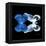 Miss Butterfly Duo Memhowqua Sq - X-Ray Black Edition-Philippe Hugonnard-Framed Stretched Canvas