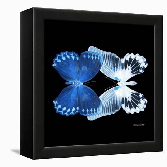 Miss Butterfly Duo Memhowqua Sq - X-Ray Black Edition-Philippe Hugonnard-Framed Stretched Canvas