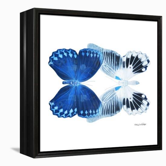 Miss Butterfly Duo Memhowqua Sq - X-Ray White Edition-Philippe Hugonnard-Framed Stretched Canvas