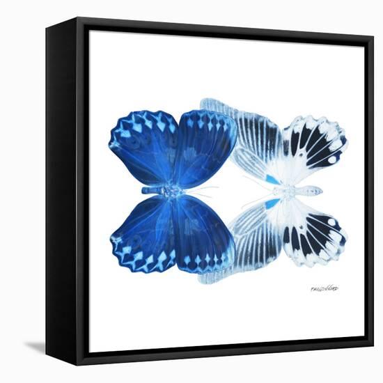 Miss Butterfly Duo Memhowqua Sq - X-Ray White Edition-Philippe Hugonnard-Framed Stretched Canvas