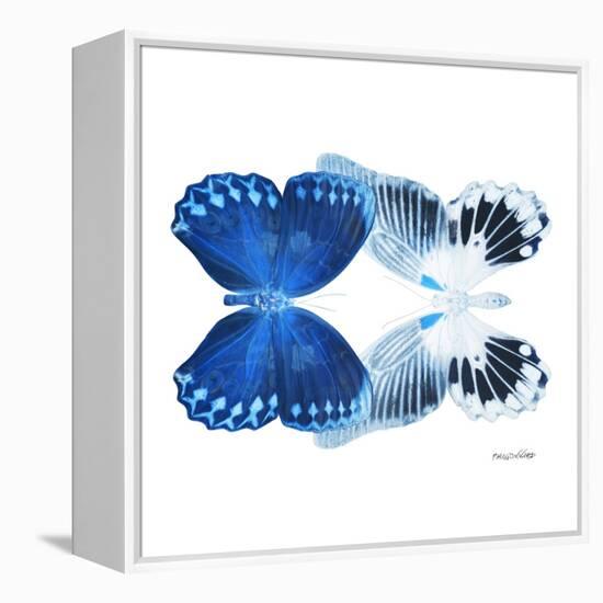 Miss Butterfly Duo Memhowqua Sq - X-Ray White Edition-Philippe Hugonnard-Framed Stretched Canvas