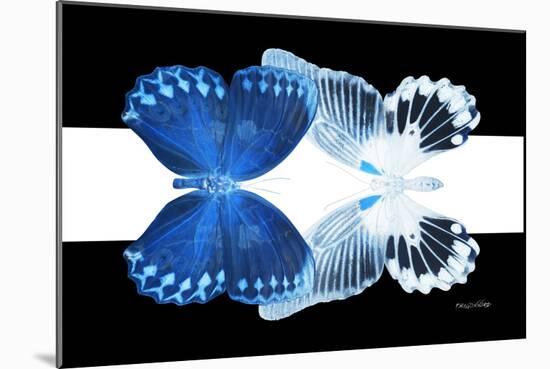 Miss Butterfly Duo Memhowqua - X-Ray B&W Edition II-Philippe Hugonnard-Mounted Photographic Print