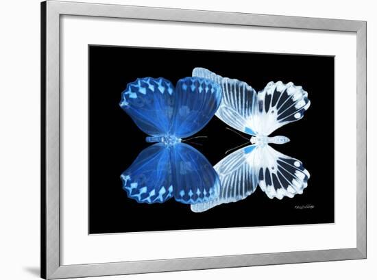 Miss Butterfly Duo Memhowqua - X-Ray Black Edition-Philippe Hugonnard-Framed Photographic Print