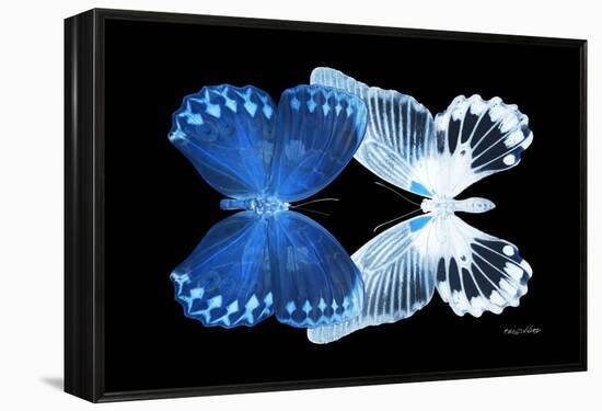 Miss Butterfly Duo Memhowqua - X-Ray Black Edition-Philippe Hugonnard-Framed Premier Image Canvas