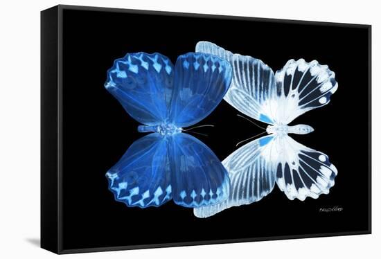 Miss Butterfly Duo Memhowqua - X-Ray Black Edition-Philippe Hugonnard-Framed Premier Image Canvas