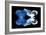 Miss Butterfly Duo Memhowqua - X-Ray Black Edition-Philippe Hugonnard-Framed Photographic Print