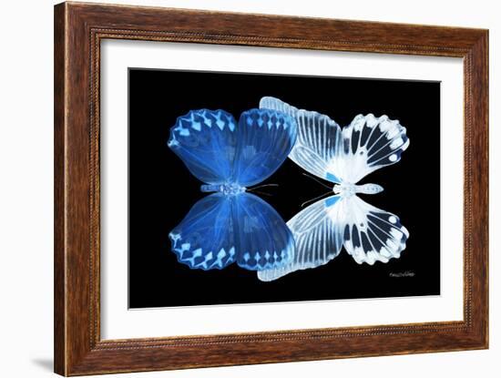 Miss Butterfly Duo Memhowqua - X-Ray Black Edition-Philippe Hugonnard-Framed Photographic Print