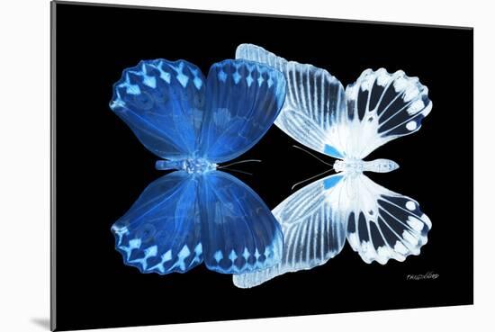 Miss Butterfly Duo Memhowqua - X-Ray Black Edition-Philippe Hugonnard-Mounted Photographic Print