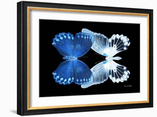 Miss Butterfly Duo Memhowqua - X-Ray Black Edition-Philippe Hugonnard-Framed Photographic Print