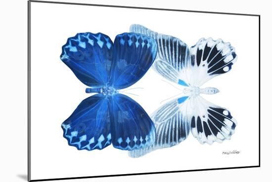 Miss Butterfly Duo Memhowqua - X-Ray White Edition-Philippe Hugonnard-Mounted Photographic Print