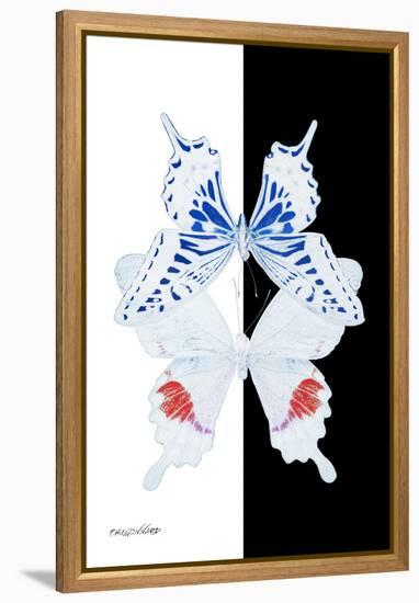 Miss Butterfly Duo Parisuthus II - X-Ray B&W Edition-Philippe Hugonnard-Framed Premier Image Canvas