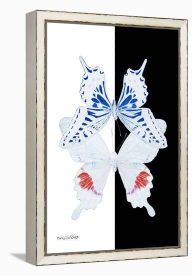 Miss Butterfly Duo Parisuthus II - X-Ray B&W Edition-Philippe Hugonnard-Framed Premier Image Canvas