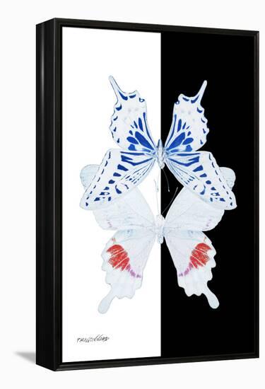 Miss Butterfly Duo Parisuthus II - X-Ray B&W Edition-Philippe Hugonnard-Framed Premier Image Canvas