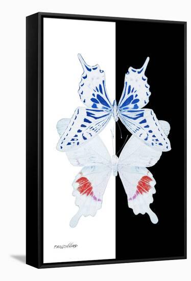 Miss Butterfly Duo Parisuthus II - X-Ray B&W Edition-Philippe Hugonnard-Framed Premier Image Canvas