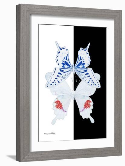 Miss Butterfly Duo Parisuthus II - X-Ray B&W Edition-Philippe Hugonnard-Framed Photographic Print