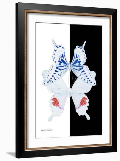Miss Butterfly Duo Parisuthus II - X-Ray B&W Edition-Philippe Hugonnard-Framed Photographic Print
