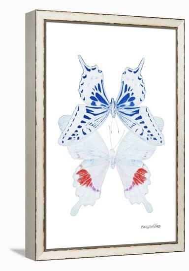 Miss Butterfly Duo Parisuthus II - X-Ray White Edition-Philippe Hugonnard-Framed Premier Image Canvas