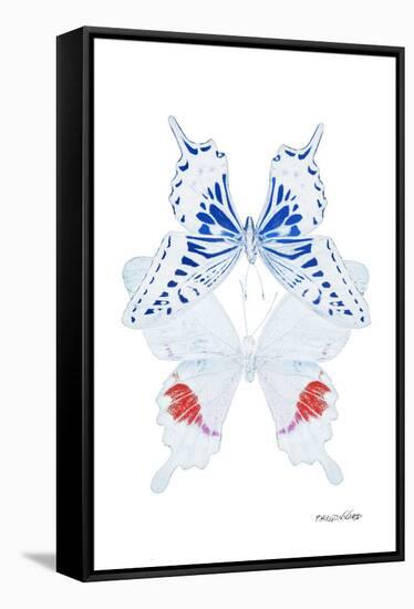 Miss Butterfly Duo Parisuthus II - X-Ray White Edition-Philippe Hugonnard-Framed Premier Image Canvas