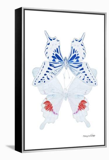 Miss Butterfly Duo Parisuthus II - X-Ray White Edition-Philippe Hugonnard-Framed Premier Image Canvas