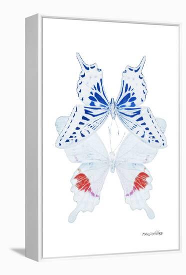 Miss Butterfly Duo Parisuthus II - X-Ray White Edition-Philippe Hugonnard-Framed Premier Image Canvas