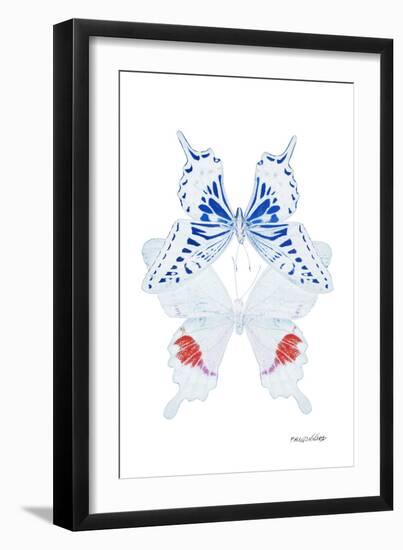 Miss Butterfly Duo Parisuthus II - X-Ray White Edition-Philippe Hugonnard-Framed Photographic Print