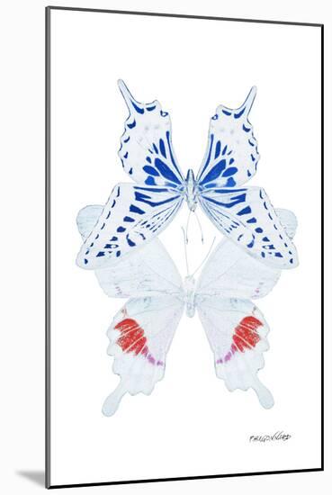 Miss Butterfly Duo Parisuthus II - X-Ray White Edition-Philippe Hugonnard-Mounted Photographic Print