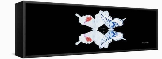 Miss Butterfly Duo Parisuthus Pan - X-Ray Black Edition-Philippe Hugonnard-Framed Premier Image Canvas