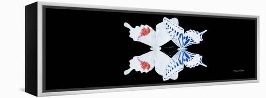 Miss Butterfly Duo Parisuthus Pan - X-Ray Black Edition-Philippe Hugonnard-Framed Premier Image Canvas