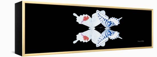 Miss Butterfly Duo Parisuthus Pan - X-Ray Black Edition-Philippe Hugonnard-Framed Premier Image Canvas