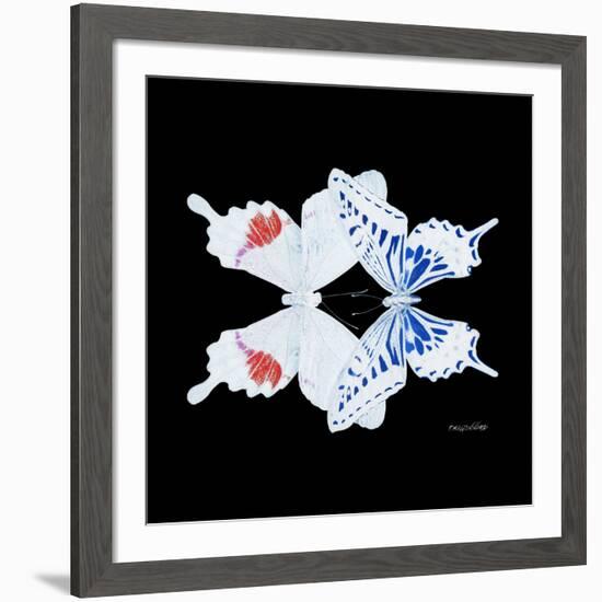 Miss Butterfly Duo Parisuthus Sq - X-Ray Black Edition-Philippe Hugonnard-Framed Photographic Print