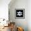 Miss Butterfly Duo Parisuthus Sq - X-Ray Black Edition-Philippe Hugonnard-Framed Photographic Print displayed on a wall