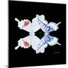 Miss Butterfly Duo Parisuthus Sq - X-Ray Black Edition-Philippe Hugonnard-Mounted Photographic Print