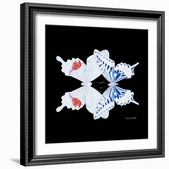 Miss Butterfly Duo Parisuthus Sq - X-Ray Black Edition-Philippe Hugonnard-Framed Photographic Print