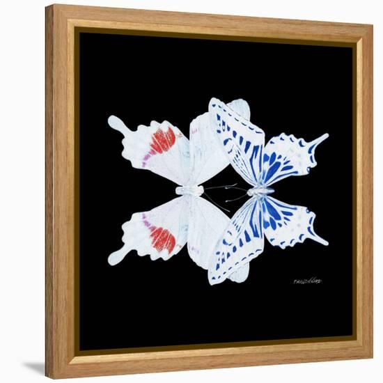 Miss Butterfly Duo Parisuthus Sq - X-Ray Black Edition-Philippe Hugonnard-Framed Stretched Canvas