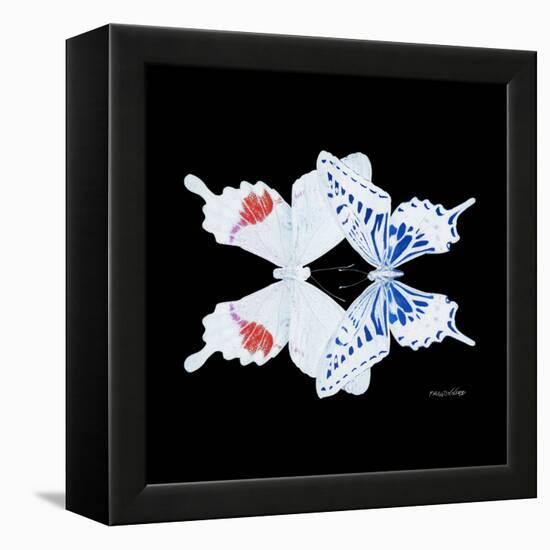 Miss Butterfly Duo Parisuthus Sq - X-Ray Black Edition-Philippe Hugonnard-Framed Stretched Canvas